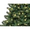 Colorado Spruce Tree with Multicolor and White LED Lights - 5 Foot